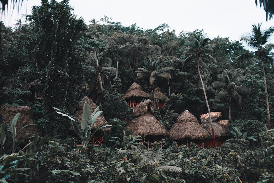 Amazon Rainforest Hideaway: Treehouse Lodge