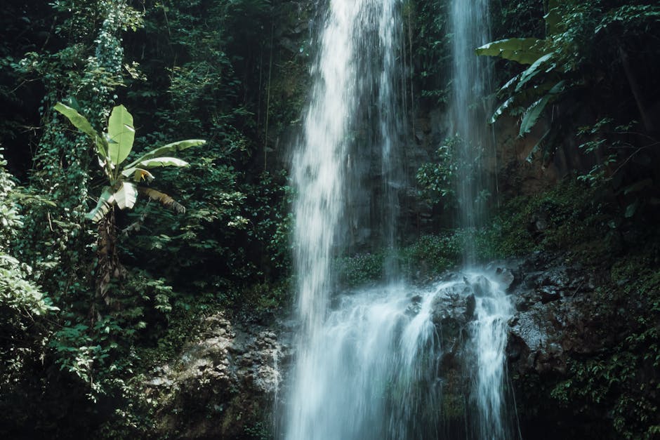Jungle Healing at Como Shambhala Estate