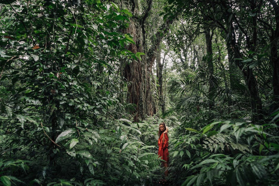 Jungle Immersion at Inkaterra Reserva Amazónica