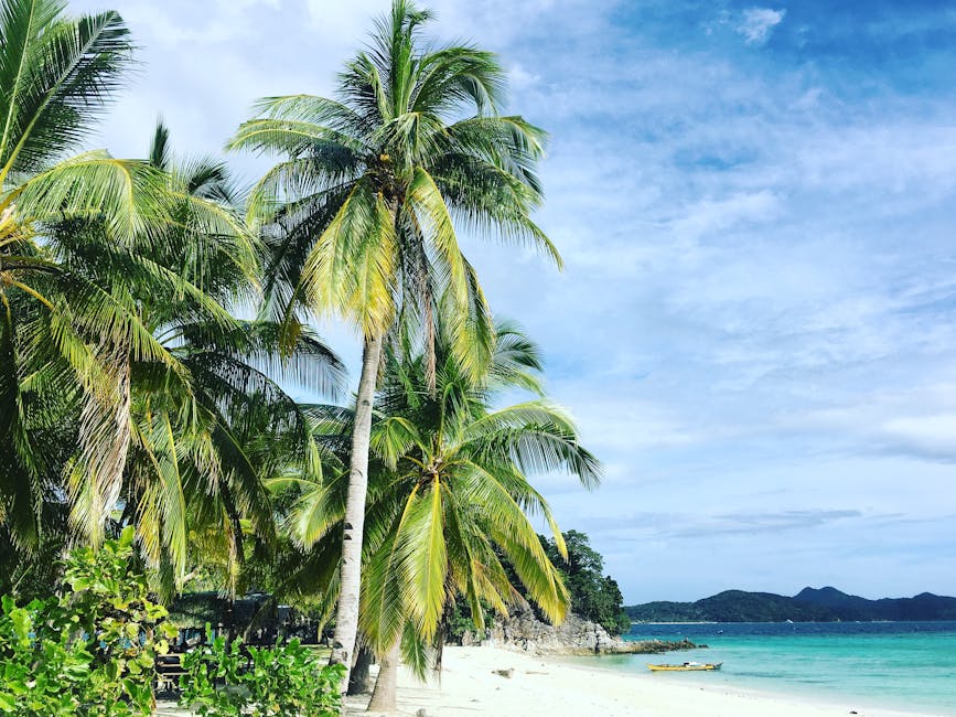 Paradise in Palawan: Pangulasian Island