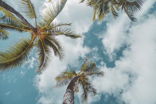 Sleep in Hawaiian Paradise at Fairmont Orchid, Big Island