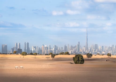 Witness Dubai Desert Icons at Meliá Desert Palm