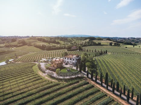 Witness Tuscan Vineyard Villas at Villa Poggiale, San Casciano