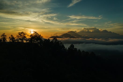 Bali Jungle Hotels With Sky Pools and Fire Ceilings