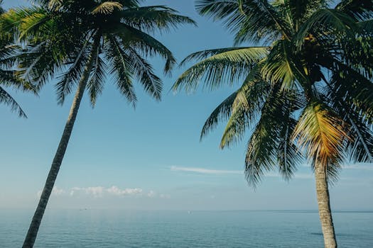 Bali Sky Hotels With Fire Decks and Coconut Ceilings