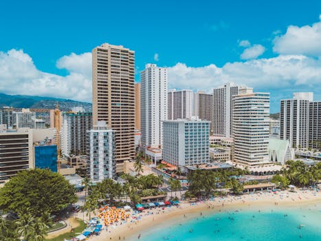 Hawaii Jungle Hotels With Palm Floors and Fire Walls