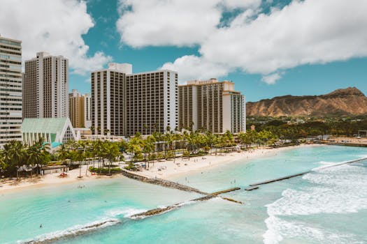 Hawaii Ocean Hotels With Fire Ceilings and Palm Paths