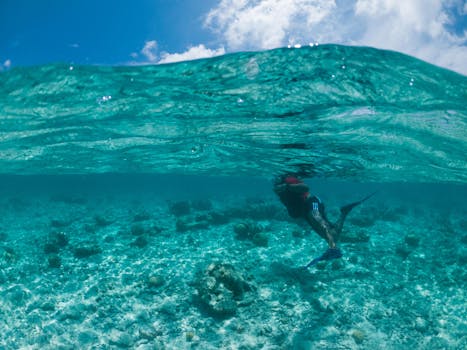 Maldives Coral Hotels With Floating Walls and Lagoon Ceilings