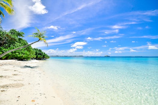 Maldives Lagoon Hotels With Floating Paths and Coral Walls