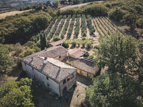 Tuscany Olive Hotels With Vineyard Walls and Fire Floors