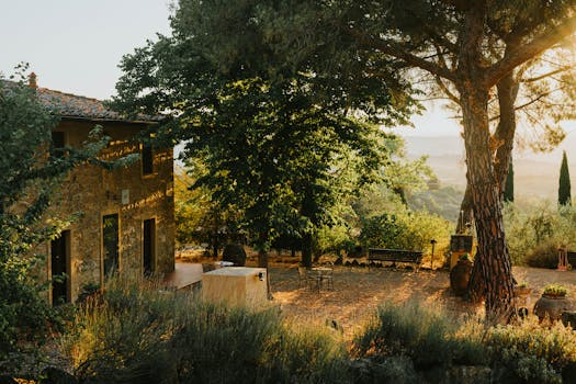 Tuscany Vineyard Hotels With Olive Fire Lounges and Stone Patios